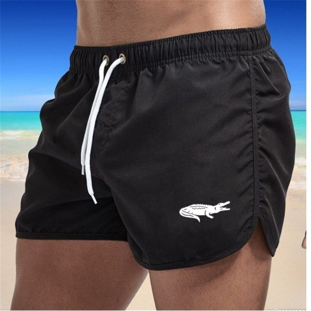 Drune | Strandshorts mehrfarbige Sportshorts