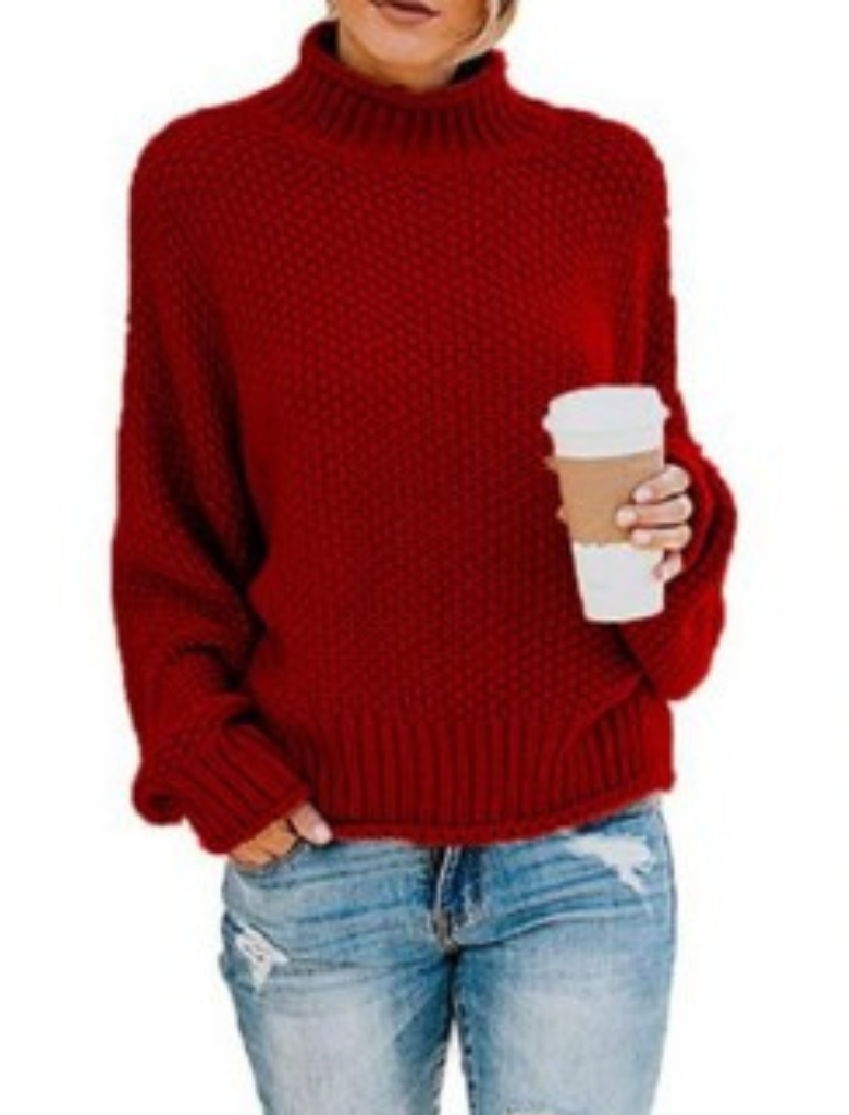 Drune | Unifarbener Langärmeliger Pullover