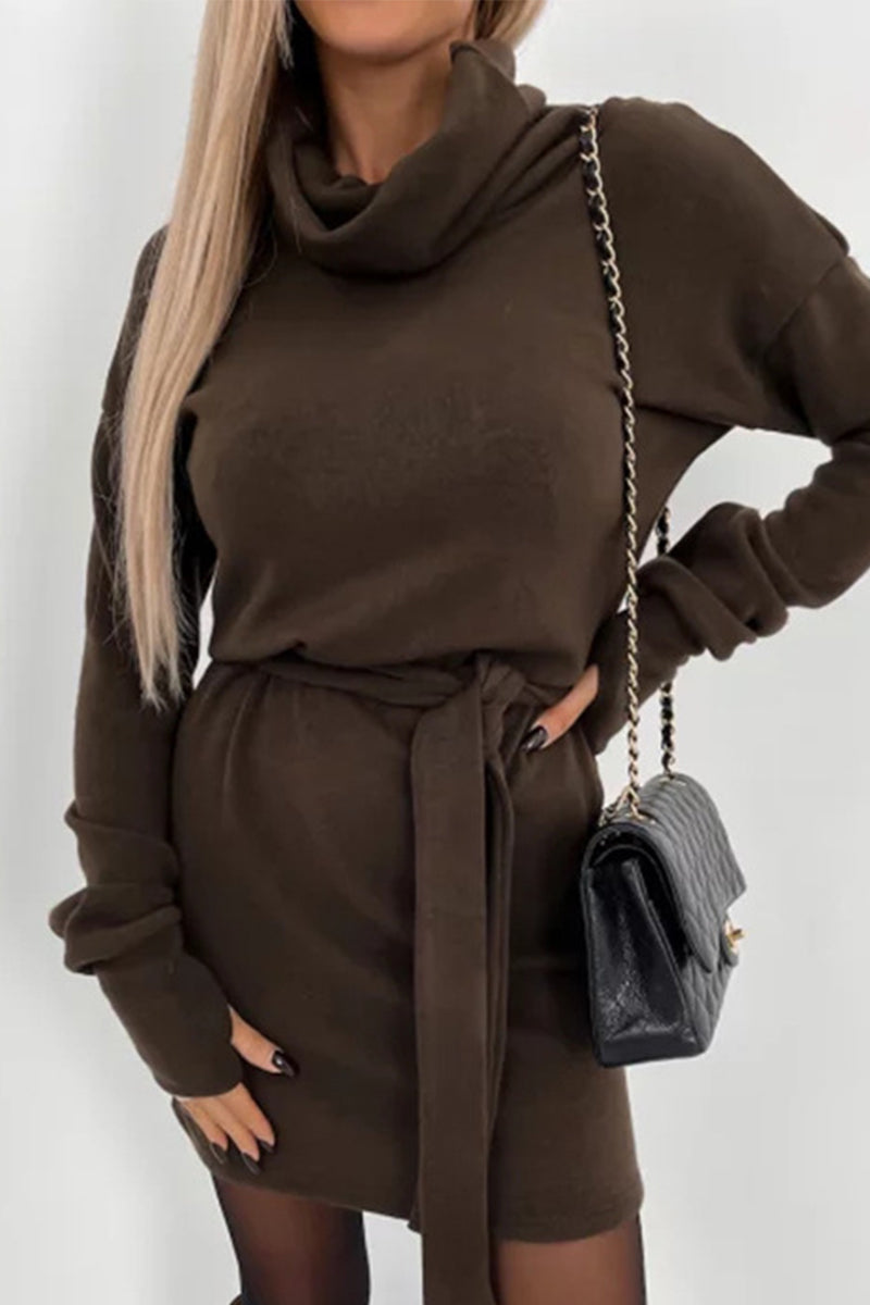Drune | Casual Solid Frenulum Turtleneck One Step Rock Kleider- 4 Farben