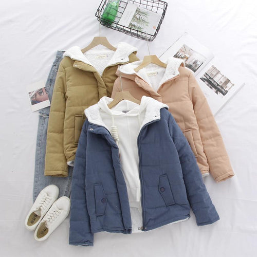 Damen nan gesteppte Kapuzen-Kurzjacke mit Teddyfutter, verdecktem Reißverschluss und aufgesetzten Pattentaschen Drune