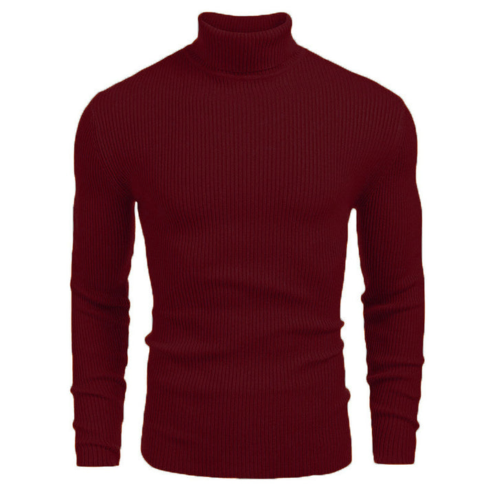 Herren-Rollkragenpullover, Langarm, Strick