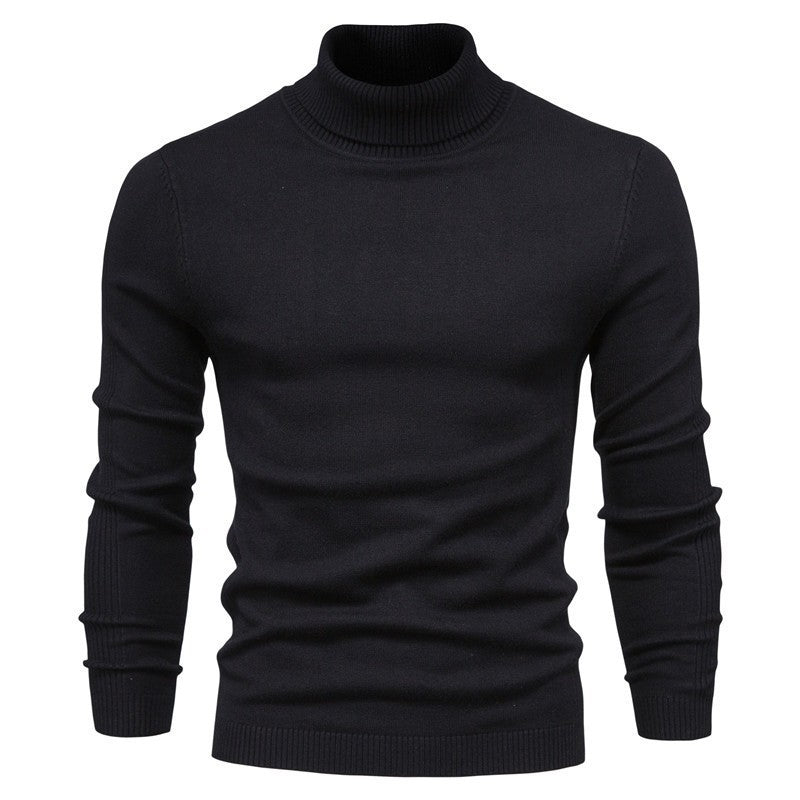 Herren-Rollkragenpullover, einfarbig, Freizeit