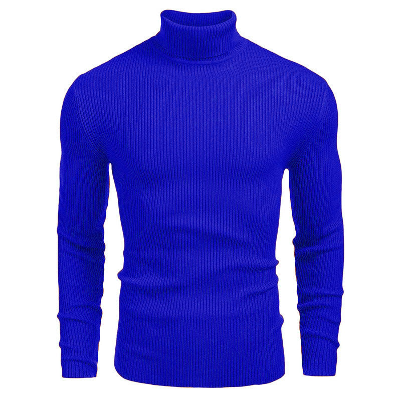 Herren-Rollkragenpullover, Langarm, Strick