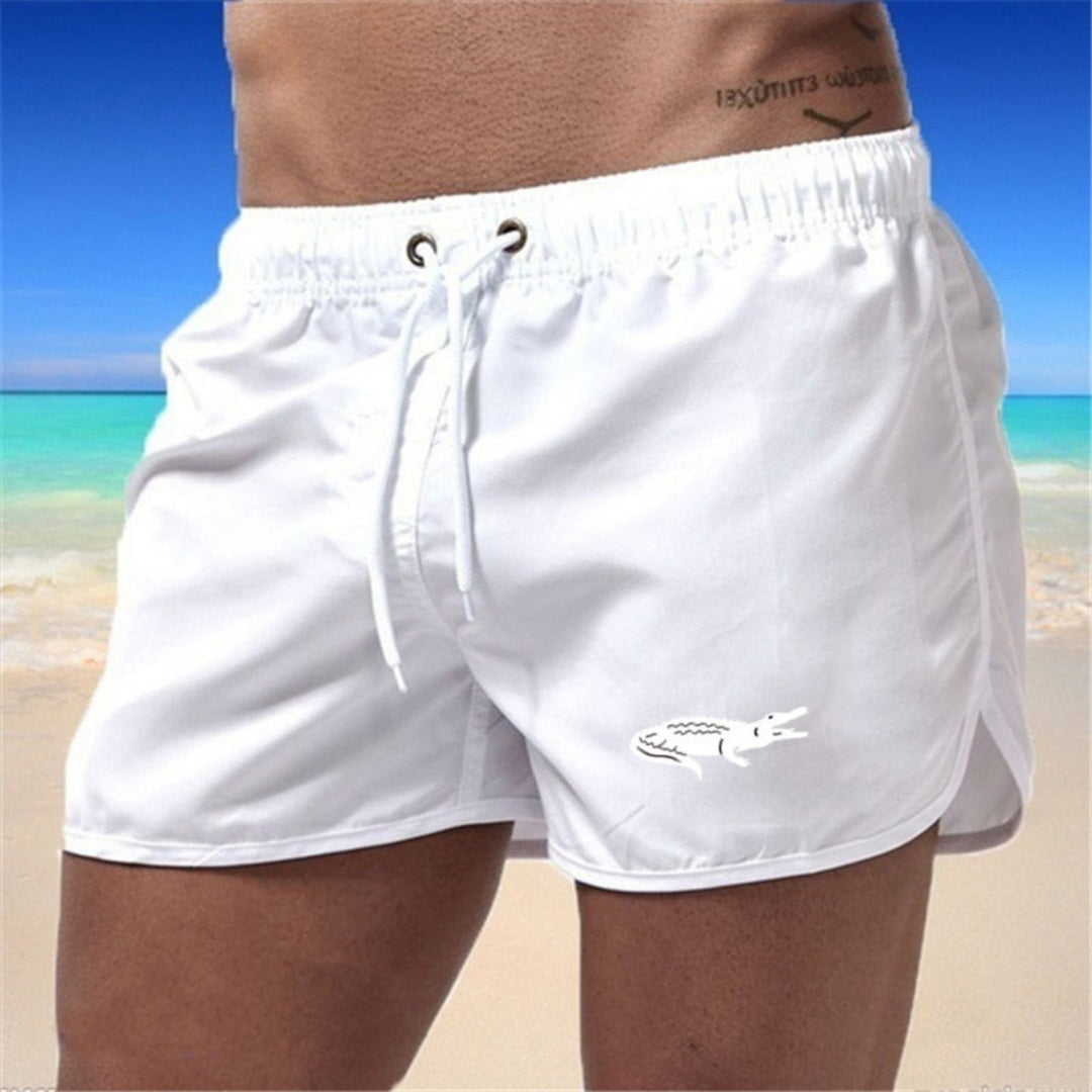 Drune | Strandshorts mehrfarbige Sportshorts