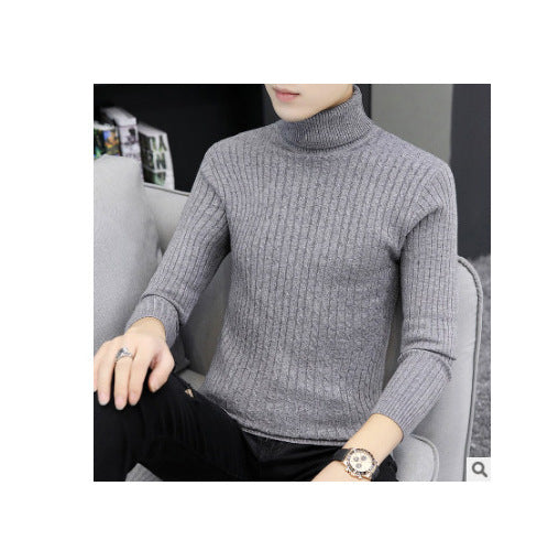 Herren-Strickpullover mit Rollkragen und Zopfmuster