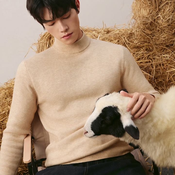 Herren Rollkragenpullover aus Wolle, gefüttert
