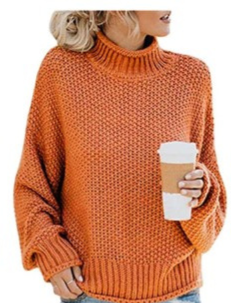Drune | Unifarbener Langärmeliger Pullover