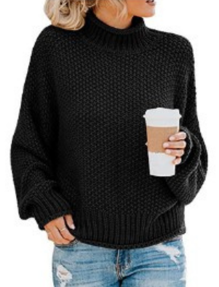 Drune | Unifarbener Langärmeliger Pullover