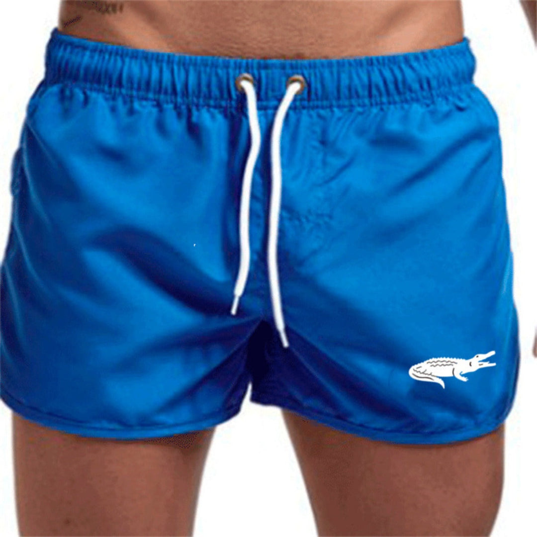 Drune | Strandshorts mehrfarbige Sportshorts
