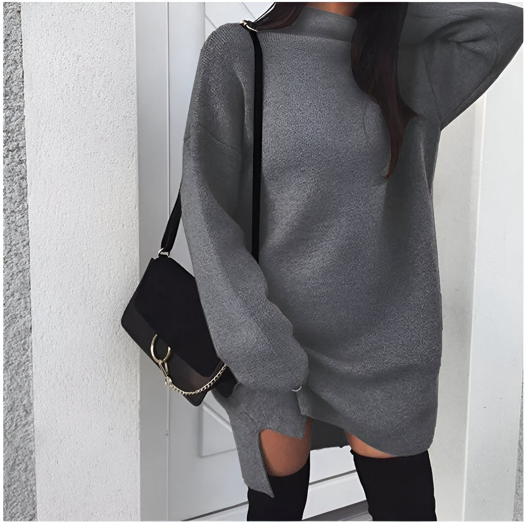 Drune | 2024 Herbst Oversized Rollkragenkleid