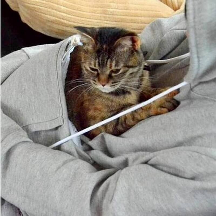 Drune | Hoodie - Pullover mit Kapuze - Katzentasche