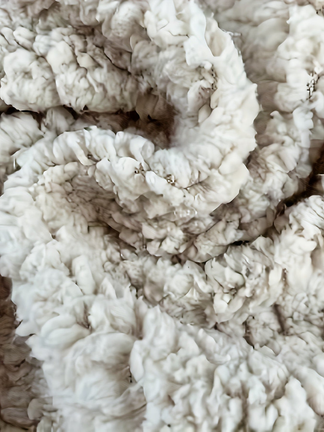 Drune | Leichtgewicht Fleece-pullover mit Reißverschluss Polyester Warm und Bequem
