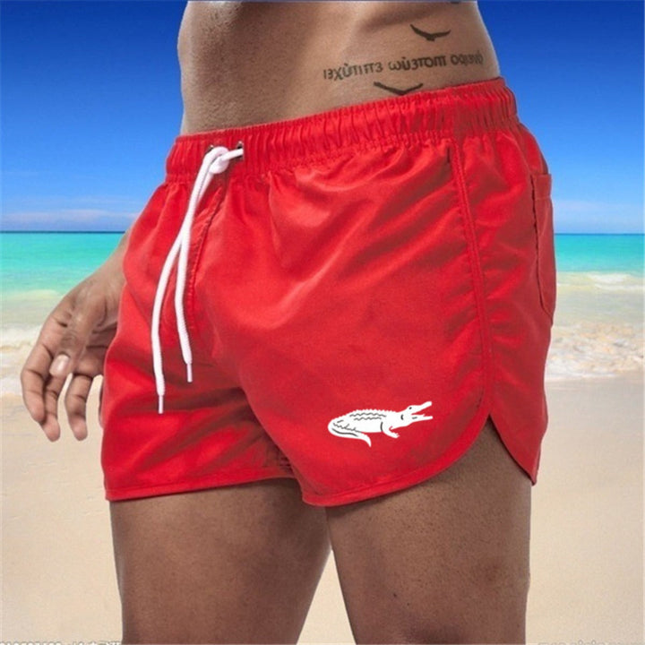 Drune | Strandshorts mehrfarbige Sportshorts