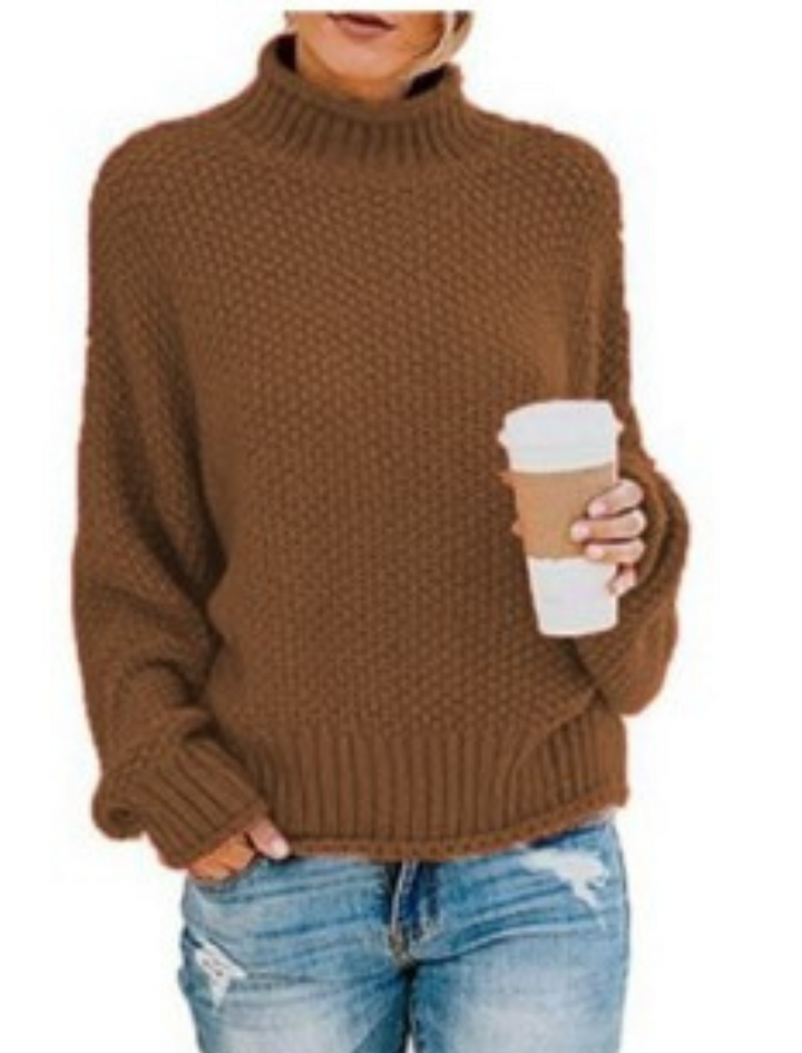 Drune | Unifarbener Langärmeliger Pullover