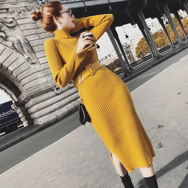 Damen Strickkleid mit Gürtel und hohem Kragen Drune