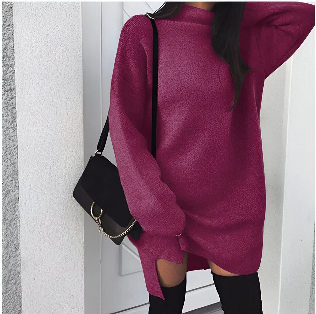 Drune | 2024 Herbst Oversized Rollkragenkleid