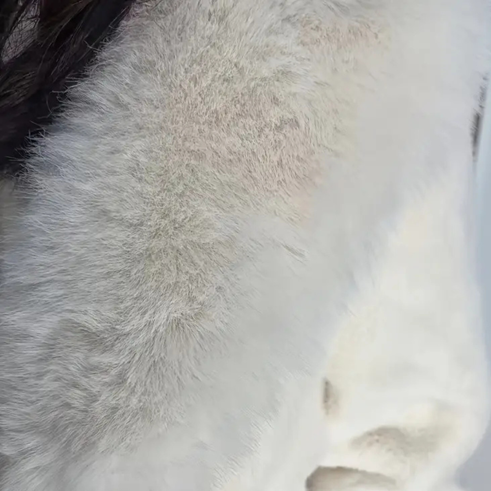 Drune | Luxueuze Warme Winterjas Voor Dames