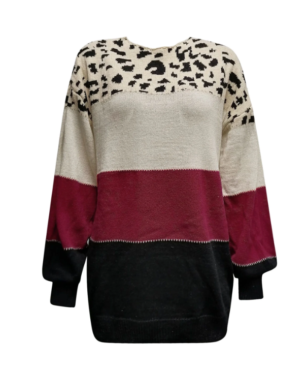 Drune | Sweatshirt gestreift mit Leopardenmuster