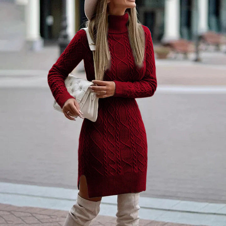 Drune | Strickrollkragenkleid mit langen Ärmeln