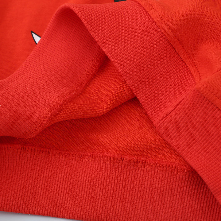 Kinder Sweatshirt Drune