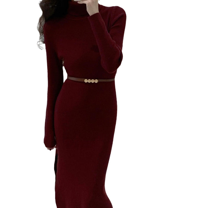 Damen Elegantes Strickkleid mit hohem Kragen und tailliertem Design Drune