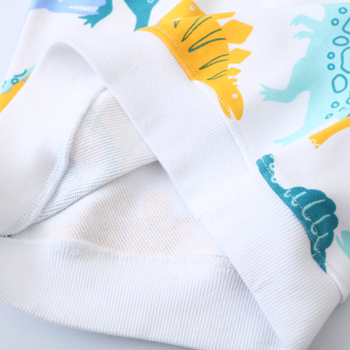 Jungen Sweatshirt mit buntem Dinosaurier-Design Drune