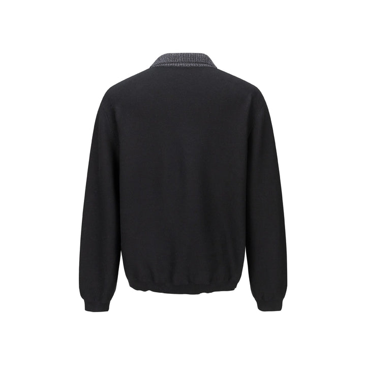 Herren Feinstrick-Polo-Pullover mit Strukturkragen und Knopfleiste Drune