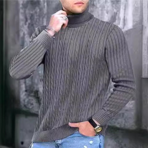 Herren Rollkragenpullover aus komfortabler Strickqualität Drune