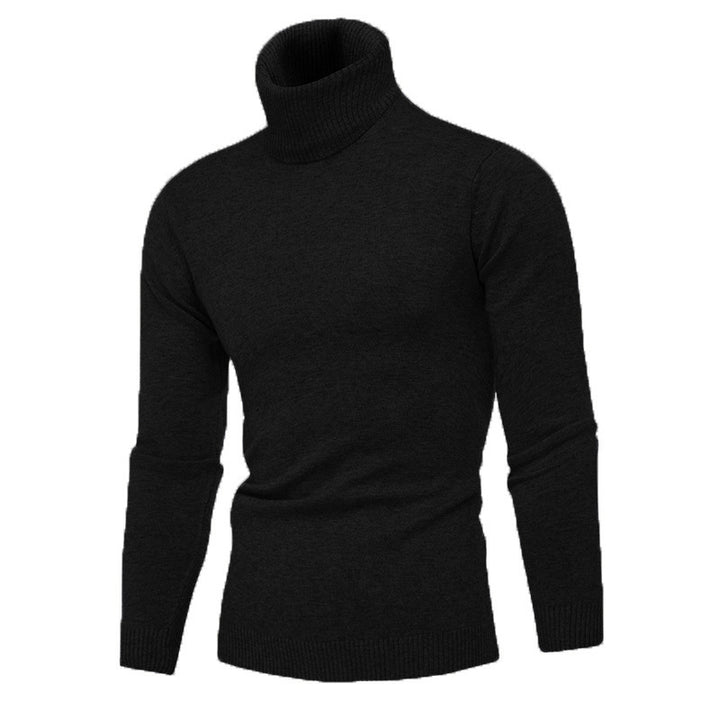 Herren Rollkragenpullover aus feiner Baumwolle mit figurbetontem Schnitt Drune