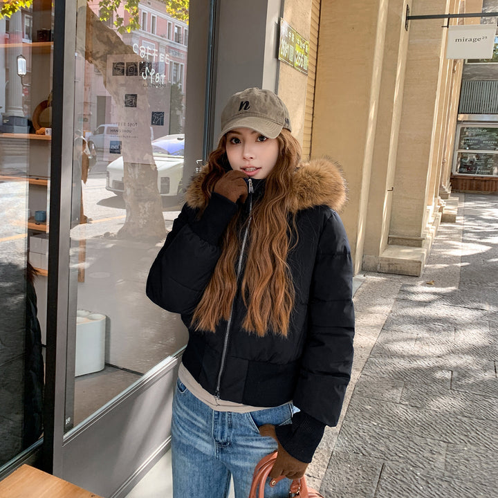 Warm Leicht Gesteppt Abnehmbare Kapuze Winterjacke Damen | Drune