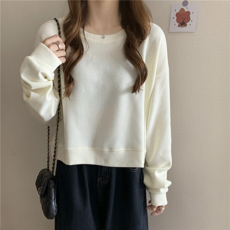 Damen lässiger cropped Pullover aus weichem Baumwollmix mit modischem Rundhalsausschnitt Drune