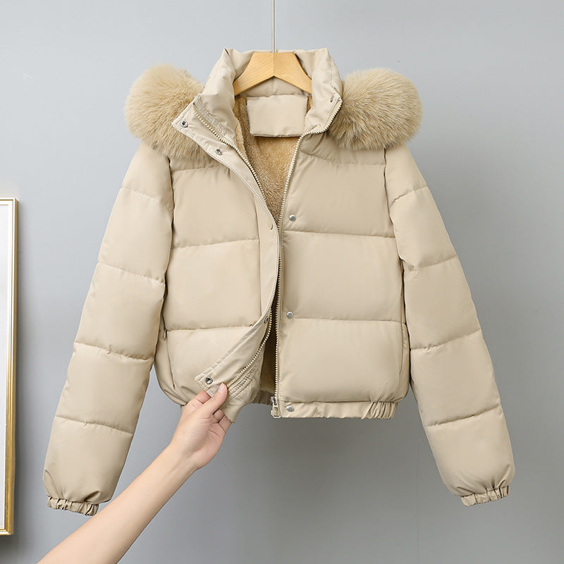 Damen nan kurz geschnittener Thermo-Blouson mit voluminöser Kapuzenblende und elastischem Saum Drune