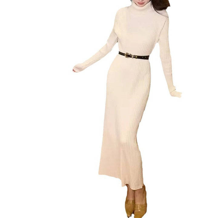 Damen elegantes Strickkleid mit hohem Rollkragen und feinem Rippenmuster Drune