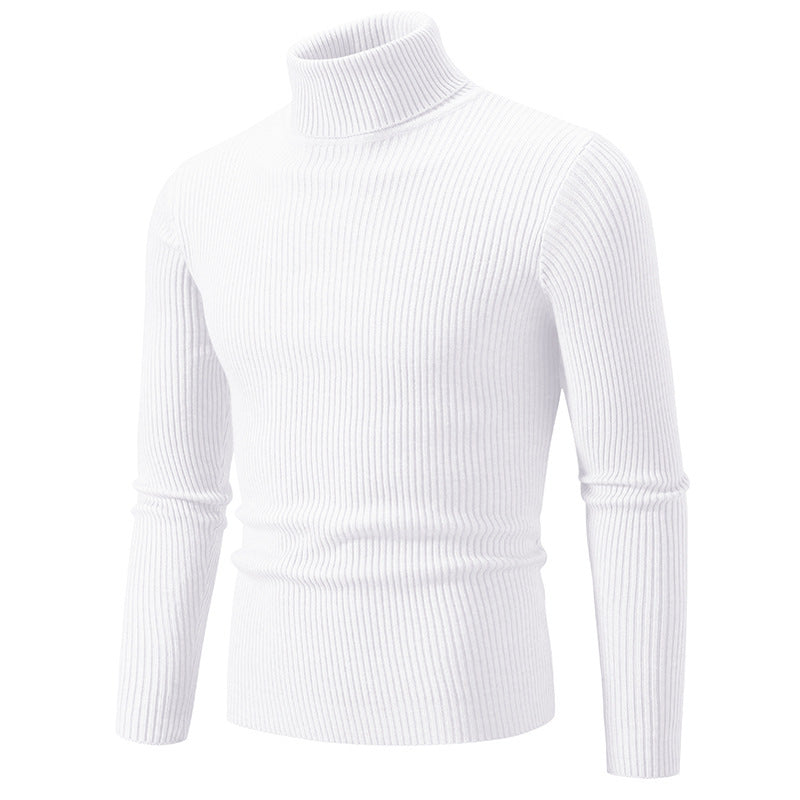 Herren feiner Rollkragenpullover aus langlebigem Strickmaterial Drune