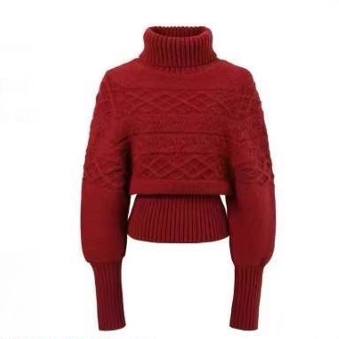 Damen Strickpullover mit Oversized-Schnitt und Rollkragen Drune