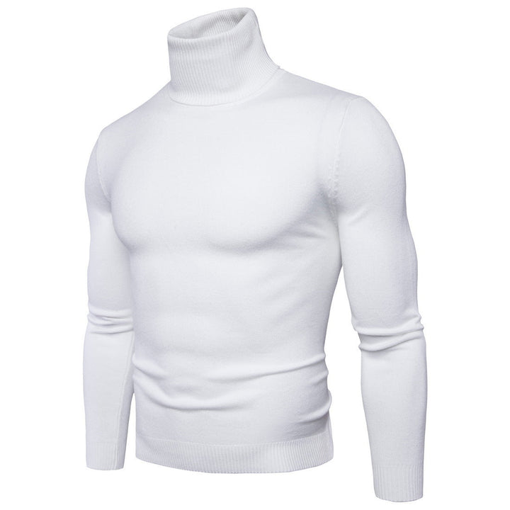 Herren Rollkragenpullover aus feiner Merinowolle Drune