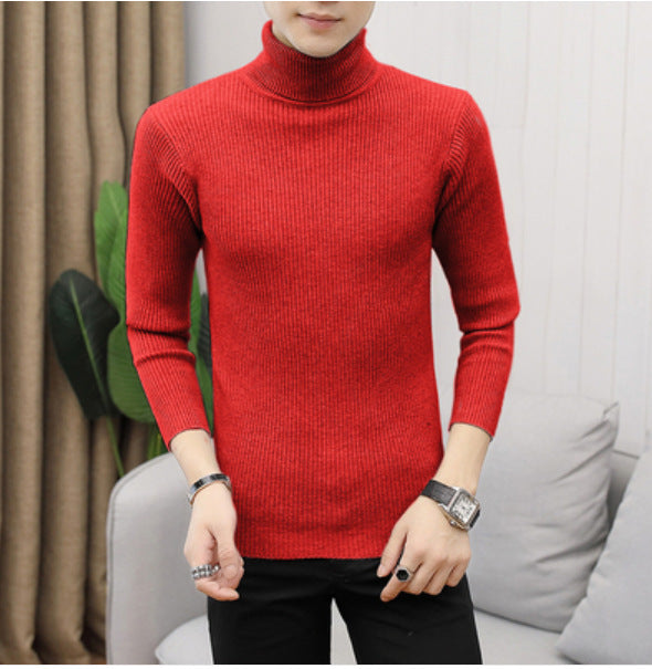 Herren modischer Rollkragenpullover aus feiner Rippstruktur Drune