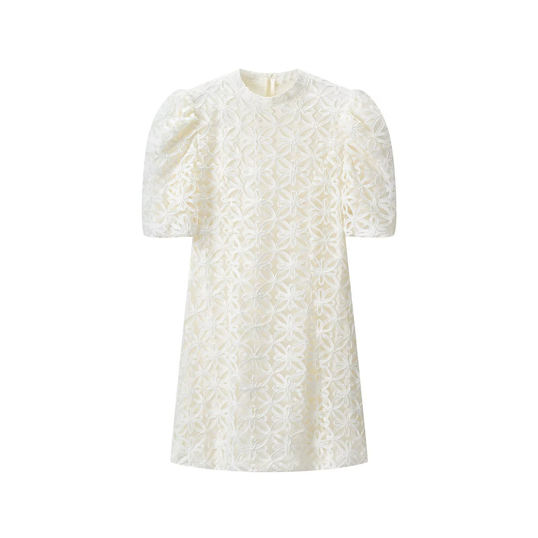 Damen A-Linien Mini-Kleid mit dreidimensionaler Blumenstickerei und Puffärmeln Drune