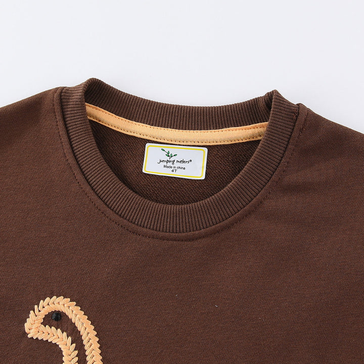 Jungen Sweatshirt mit lebhaftem Dinosaurier-Stickdesign Drune