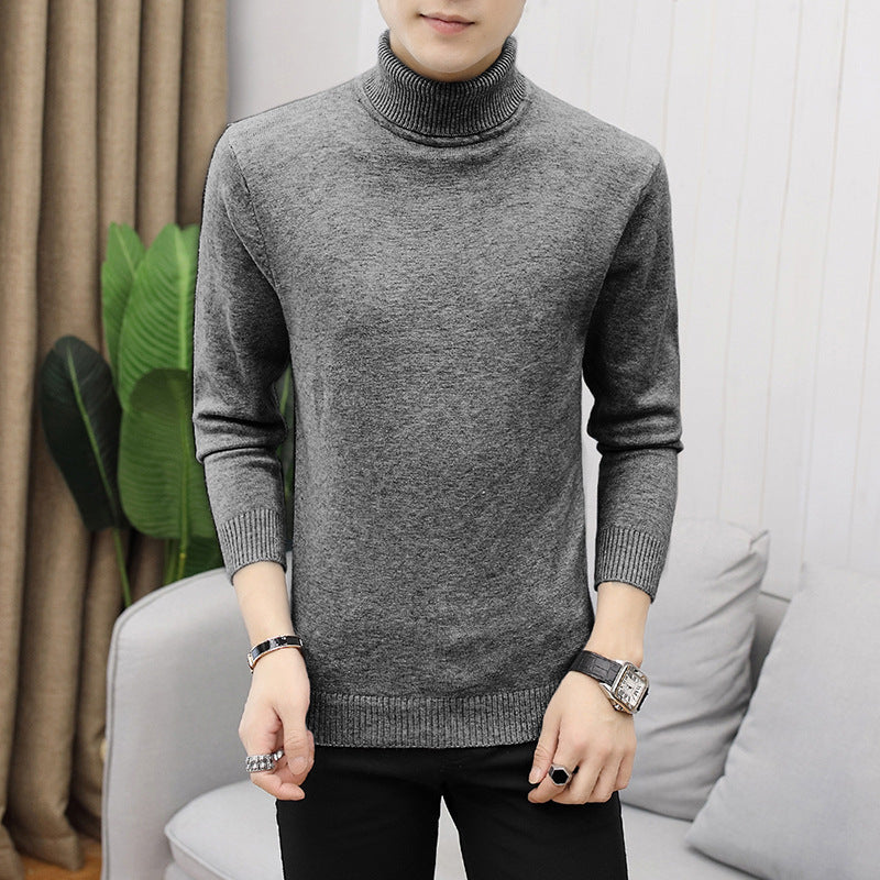 Herren modischer Rollkragenpullover mit feiner Struktur Drune