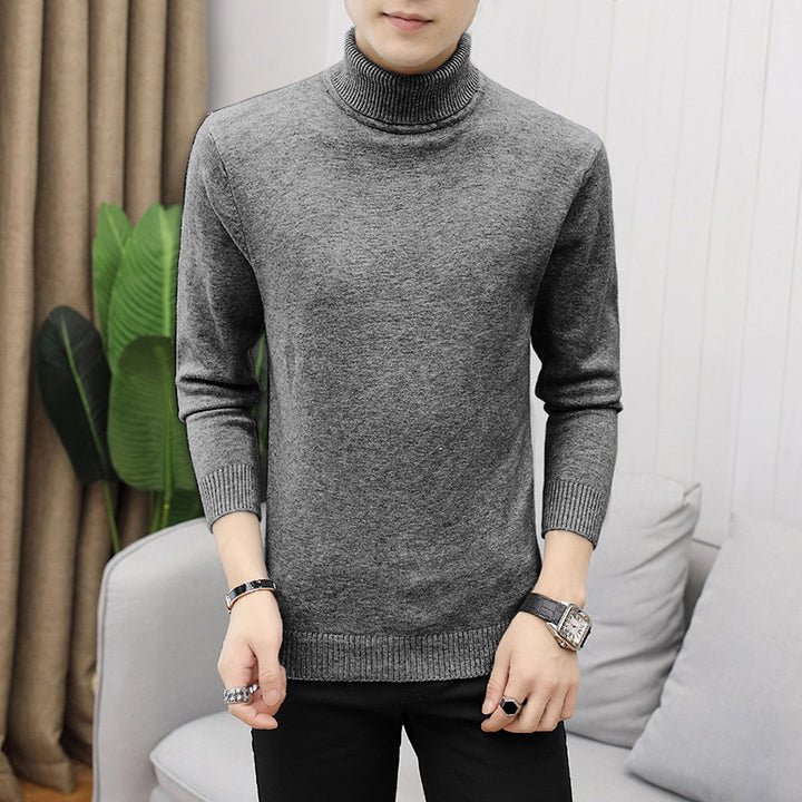 Herren modischer Rollkragenpullover mit feiner Struktur Drune