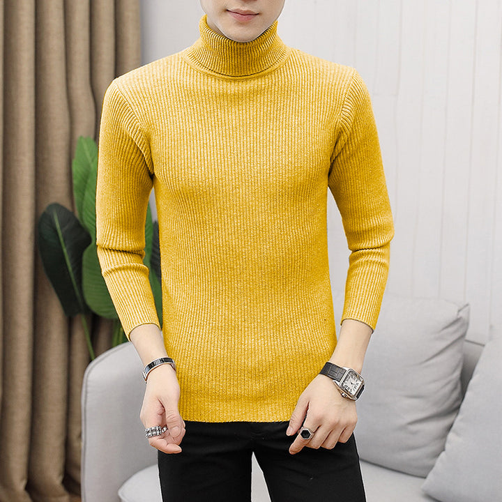 Herren modischer Rollkragenpullover aus feiner Rippstruktur Drune