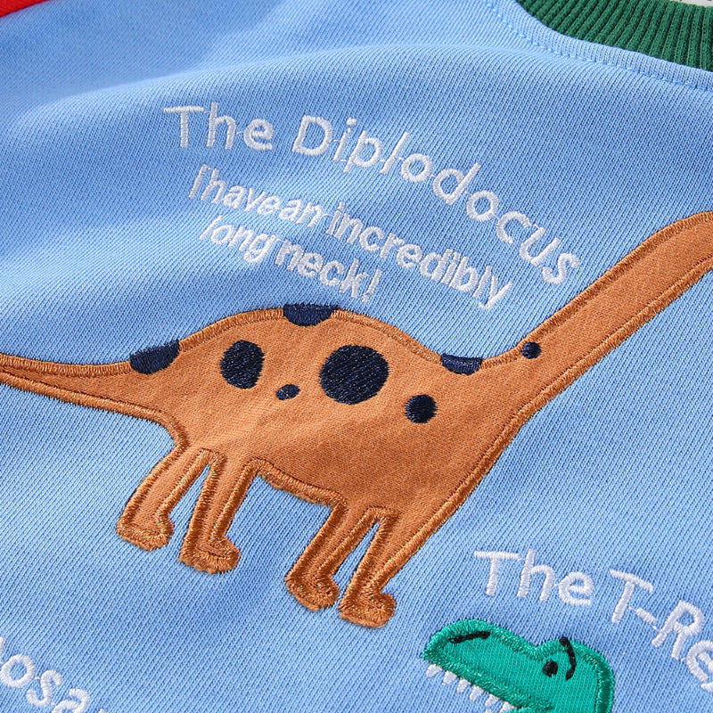 Jungen Sweatshirt mit lustigem Dinosaurierdesign Drune