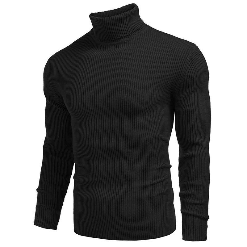 Herren Rollkragenpullover aus feinem Rippstrickmaterial Drune
