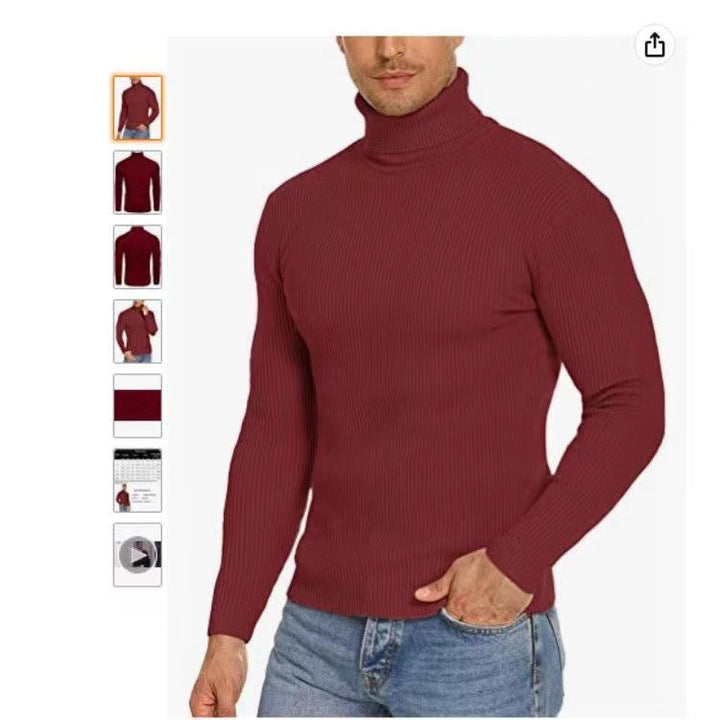 Herren Stehkragen Pullover aus ribbeltem Strick Drune
