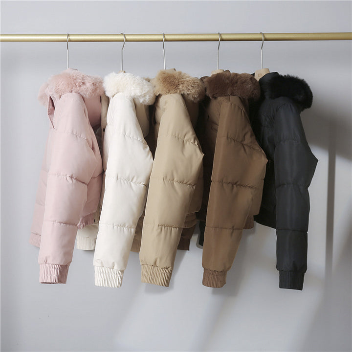 Damen nan kurze gesteppte Bomberjacke mit warmer Kapuze, abnehmbarem Webpelzrand, elastischem Bund und Thermofutter Drune