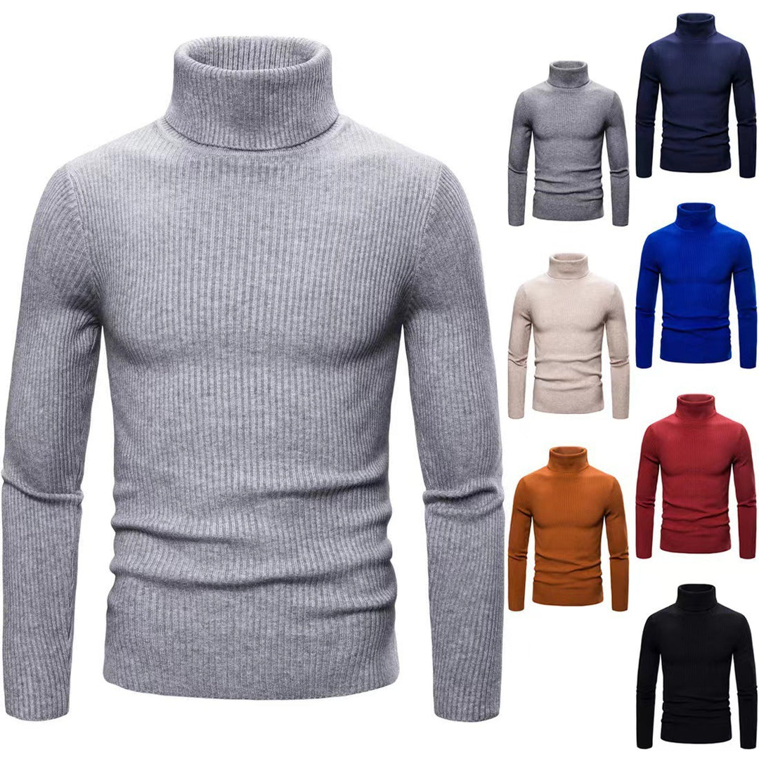 Herren modischer Rollkragenpullover aus feiner Rippstruktur Drune
