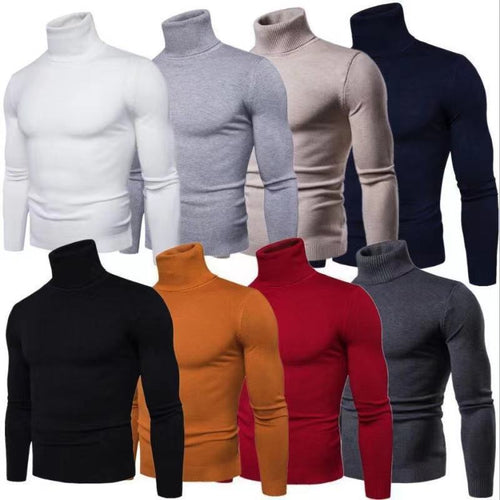Herren modischer Rollkragenpullover aus feiner Merinowolle Drune