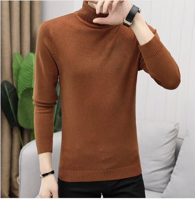 Herren Rollkragenpullover aus feiner Baumwolle mit figurbetontem Schnitt Drune
