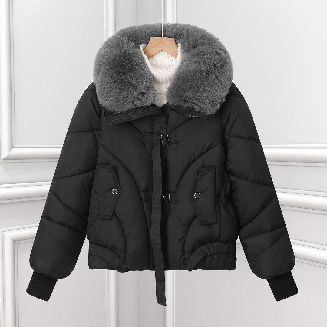Damen nan kurzes Pilotblouson mit voluminösem Schalkragen, Kordelzugsaum und aufgesetzten Pattentaschen Drune